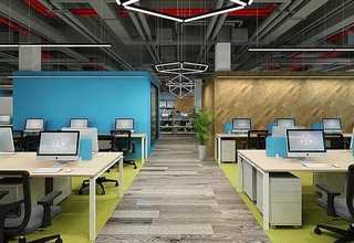 广州宠物殡葬哪家正规