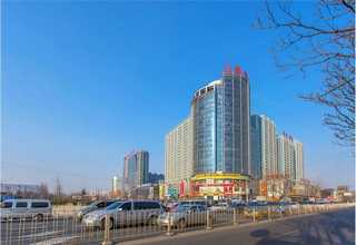 河南通用片基带代理公司